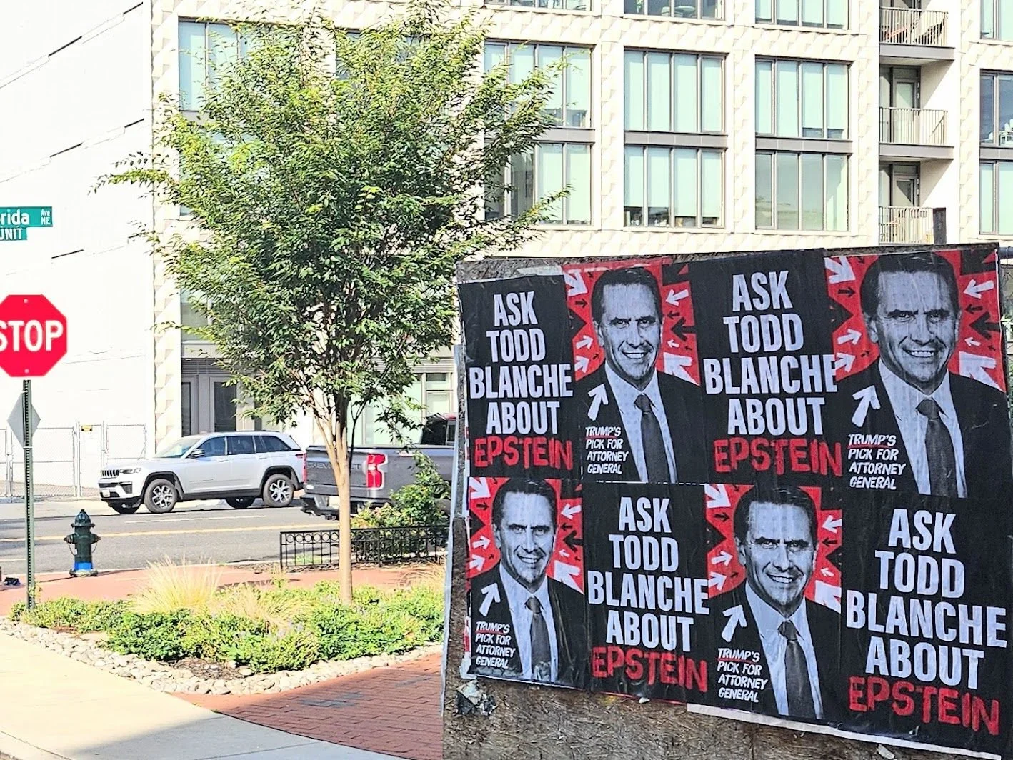 Wildposting in Washington, DC