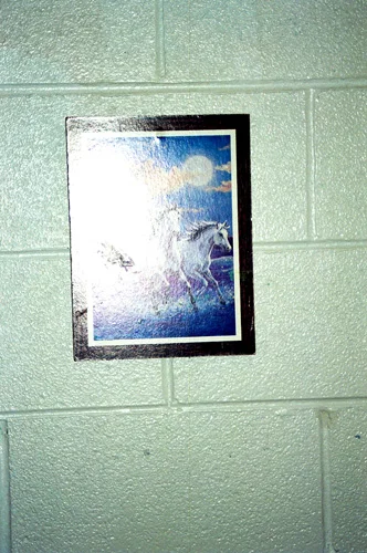 37_82170023.jpg