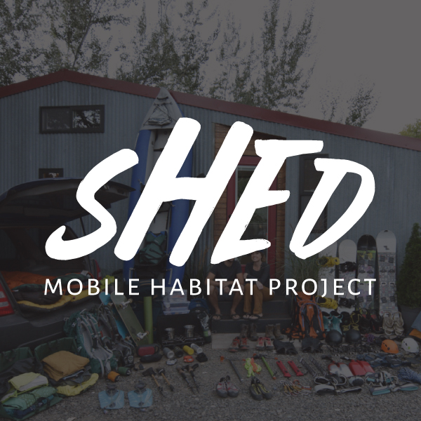 SHEDSISTENCE.jpg