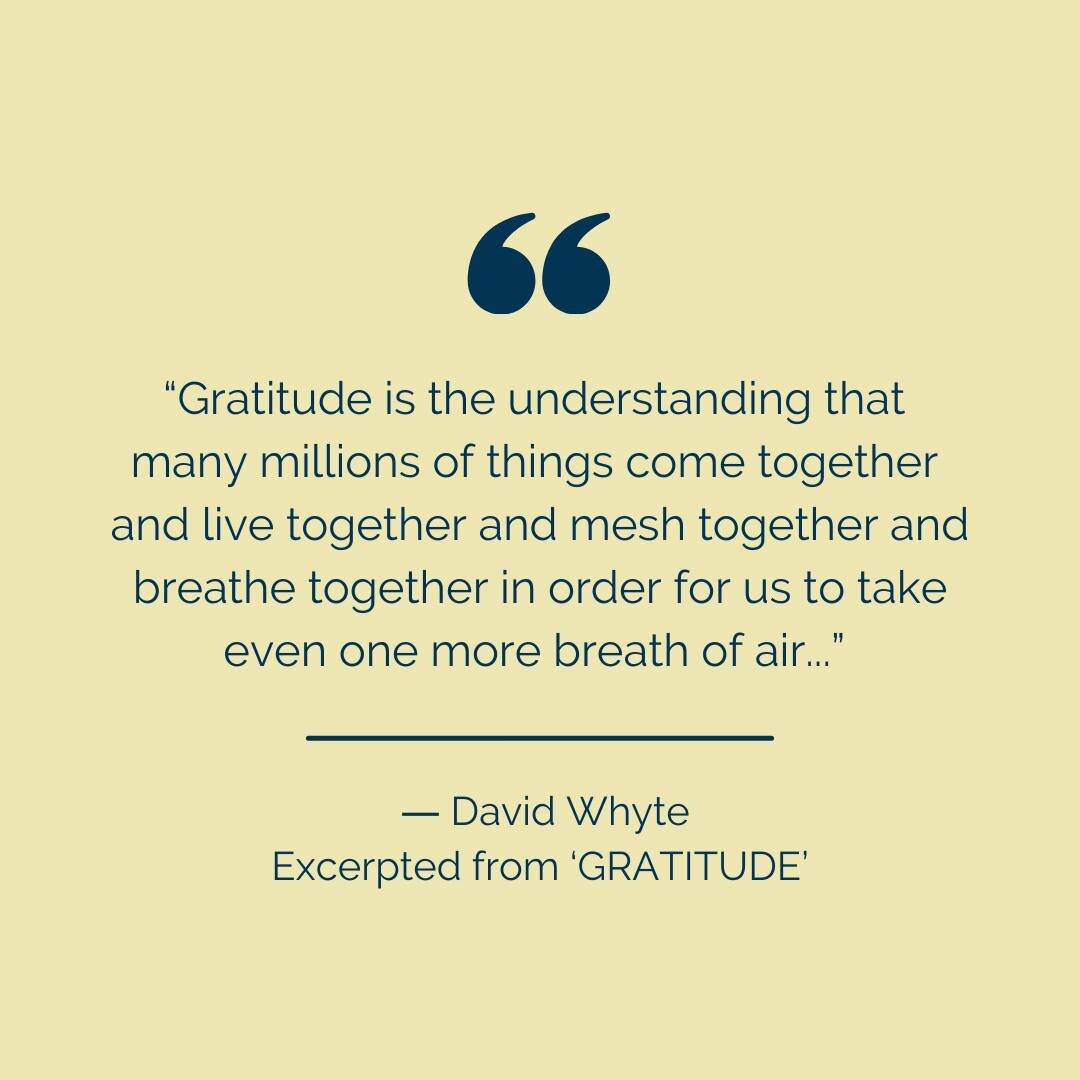&quot;Gratitude is the understanding that many millions of things come together and live together and mesh together and breathe together in order for us to take even one more breath of air, that the underlying gift of life and incarnation as a living