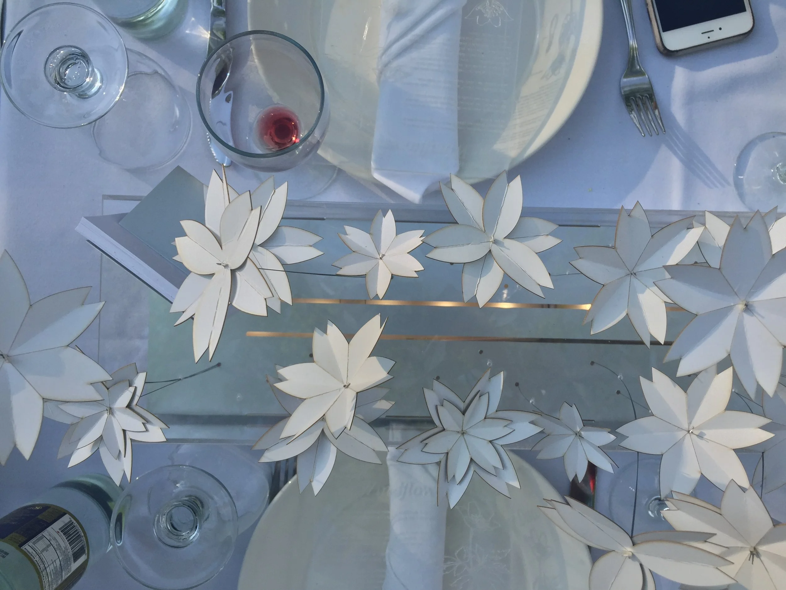 The Windflower Disco Photograph2.jpg