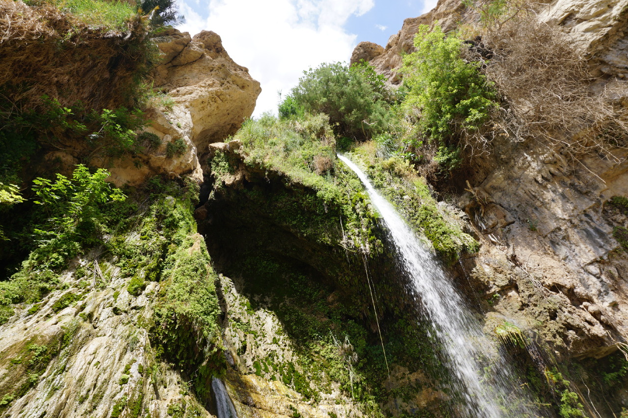 Ein Gedi, Israel