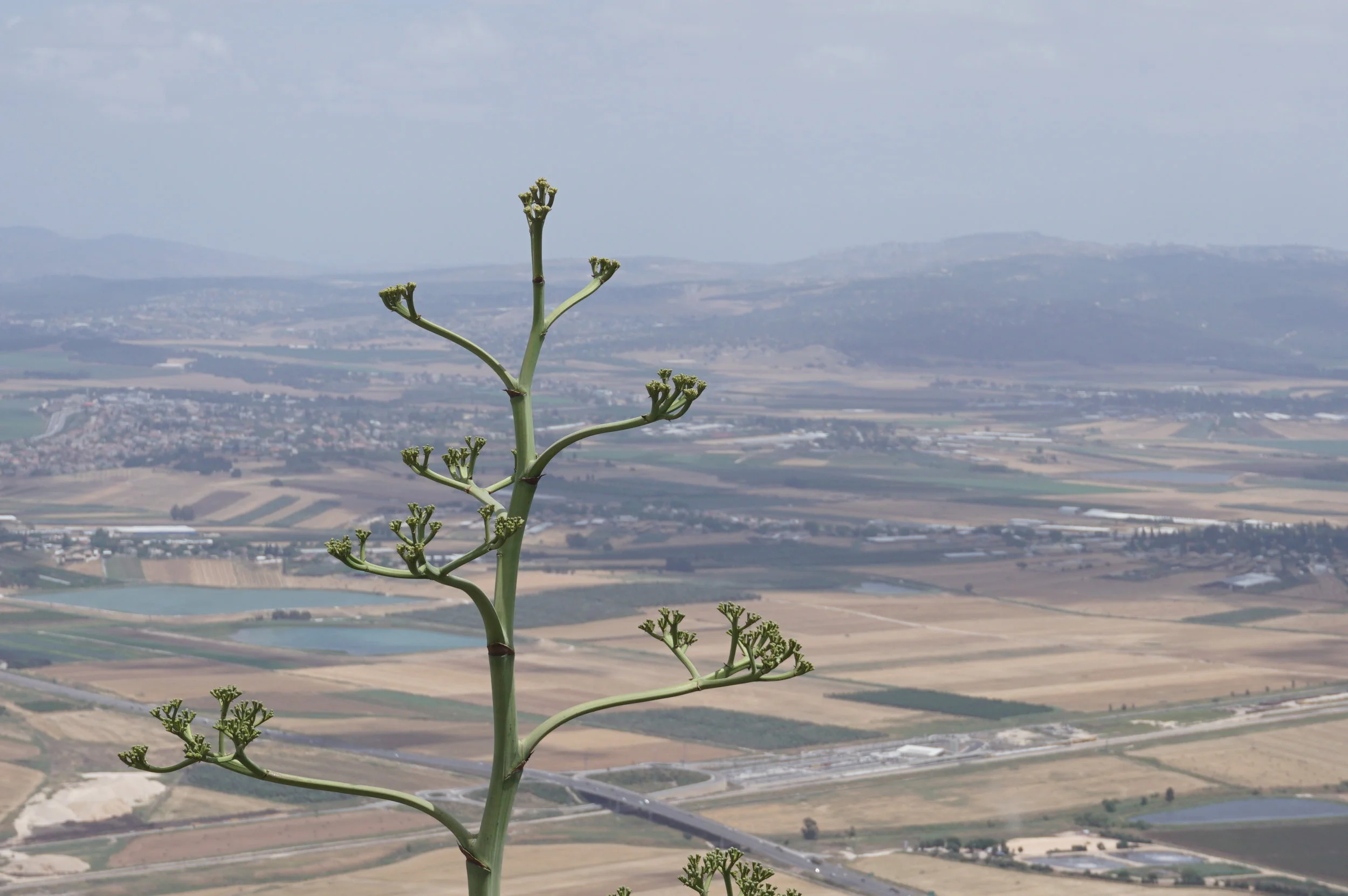 Valley of Armageddon 2.JPG