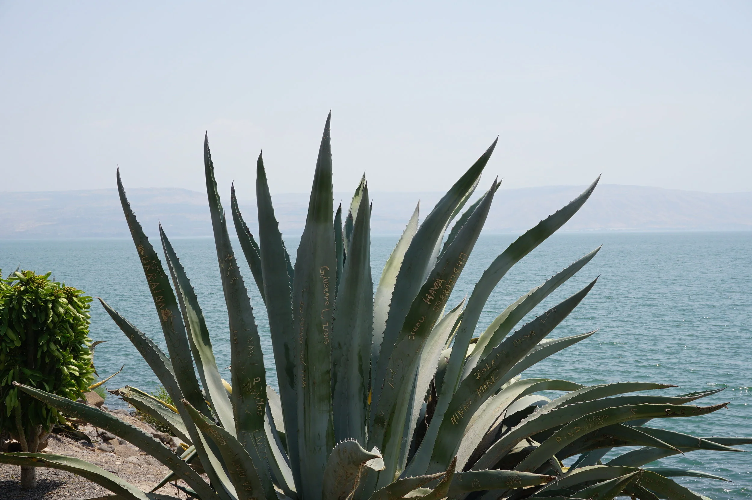 Capernaum-Sea of Galilee Israel 1.JPG