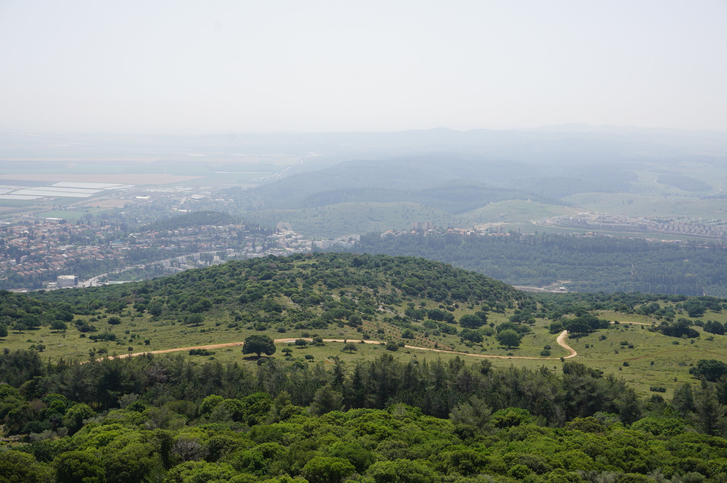 View from Mt. Carmel