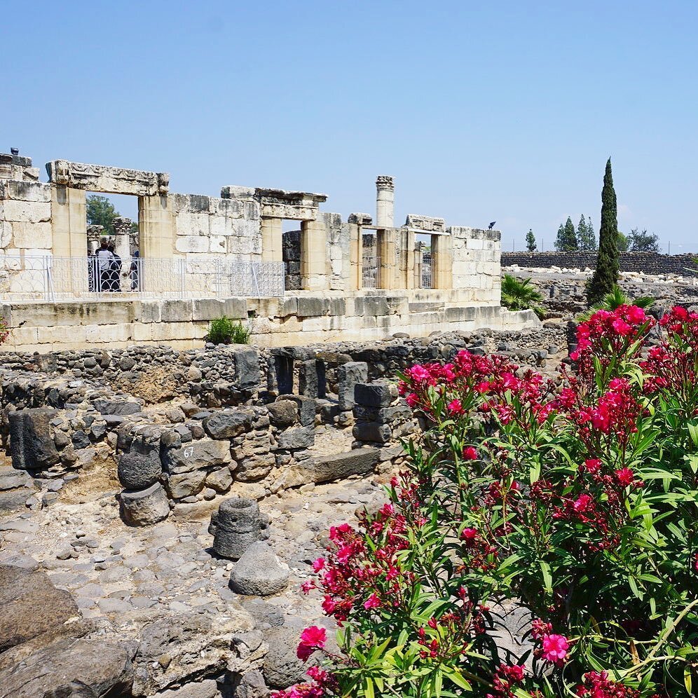 Capernaum was a fishing village located on the north shore of the Sea of Galilee.  Many consider this city to be Jesus' home during his ministry years as he spent much time there performing miracles (Luke 7:3, Matthew 14:13-21) and teaching the peopl