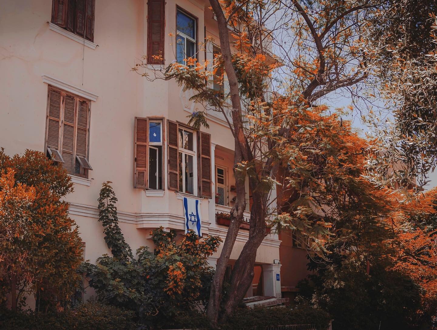 Quiet neighborhood walks near Tel Aviv.⁠⁠
.⁠⁠
.⁠⁠
.⁠⁠
.⁠⁠
.⁠⁠
📷: Harvey Sapir, from the PikiWiki website⁠⁠
#tvl #israel #telaviv #israeli #telavivcity #israelinstagram #tlvcity #igersisrael #travelphotos #israelphoto #israeltravel #TravelPTW #Pilgri