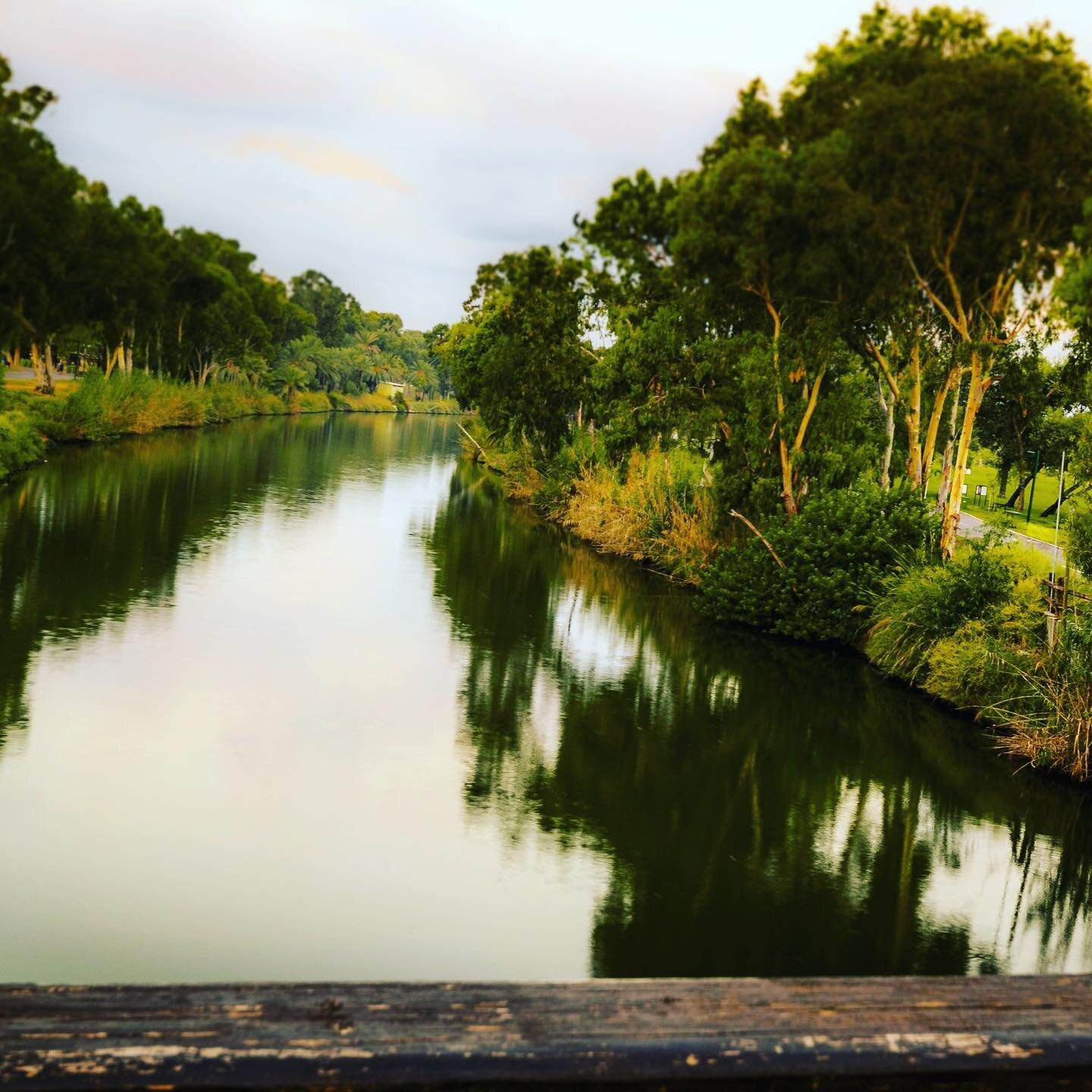 HaYarkon Park on the edge of Tel Aviv is full of stunning green spaces, peaceful waters, and beautiful gardens. You can even rent a bike and spend some time exploring the many trails.⁠⁠
.⁠⁠
.⁠⁠
.⁠⁠
.⁠⁠
.⁠⁠
⁠⁠
📷: Harvey Sapir, from the PikiWiki websi