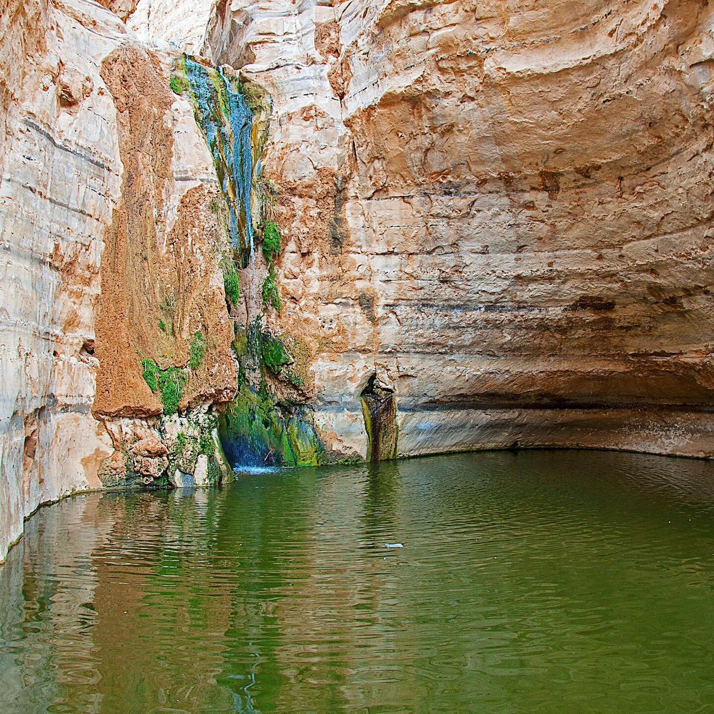 There's nothing like spending a little time at an oasis on a hot summer day! 🏝️⁠⁠
.⁠⁠
.⁠⁠
.⁠⁠
.⁠⁠
.⁠⁠
⁠⁠
⁠⁠
📷 by Oren Elram, from the PikiWiki website⁠⁠
#oasis #paradise #waterfall #summer #summerweather #eingedi #gedi #eingediIsrael #desert #trave