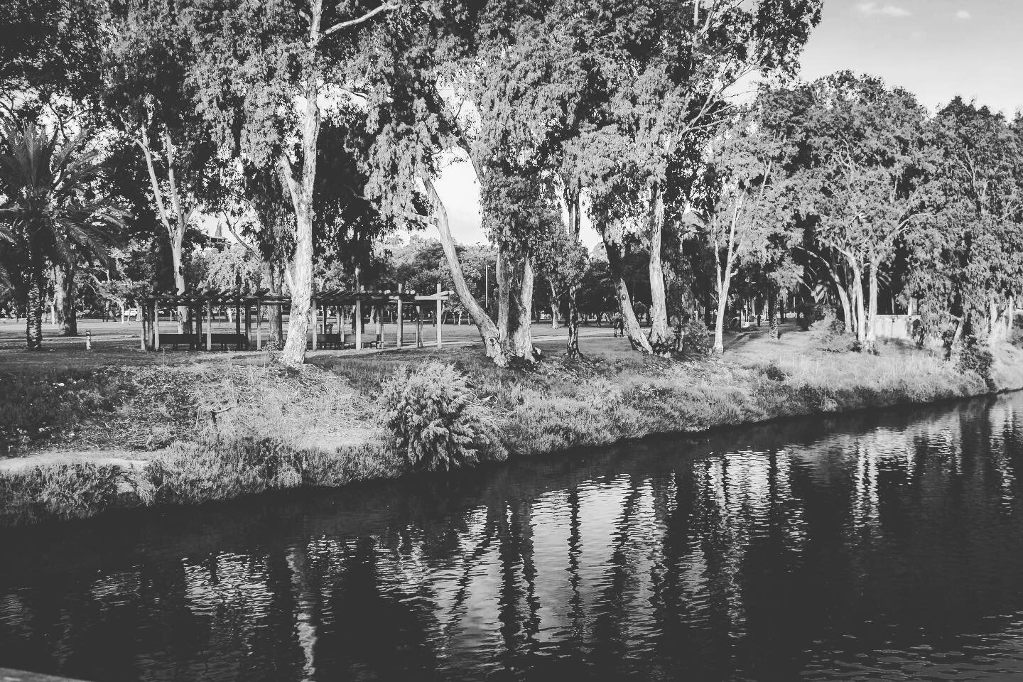 Peaceful walks in Yarkon Park. Yarkon Park is named after the river that flows through it in Tel Aviv. If you visit this park, you'll find spacious lawns, botanical gardens, concert venues, and several sports facilities. ⁠⁠
⁠⁠
.⁠⁠
.⁠⁠
.⁠⁠
.⁠⁠
.⁠⁠
📷 