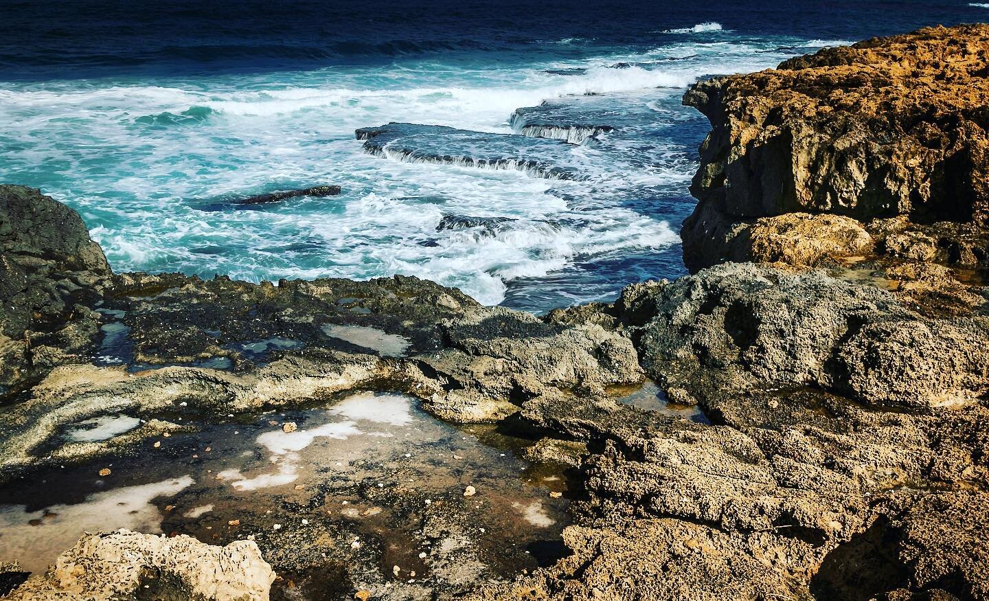 Dor HaBonim Beach Nature Reserve has sandy beaches, campgrounds, walking trails, rocky inlets, and plenty of flora and fauna to see. For those who are looking for a bit of adventure with a view, we recommend this place!⁠⁠
⁠⁠
.⁠⁠
.⁠⁠
.⁠⁠
.⁠⁠
.⁠⁠
📷 Ha