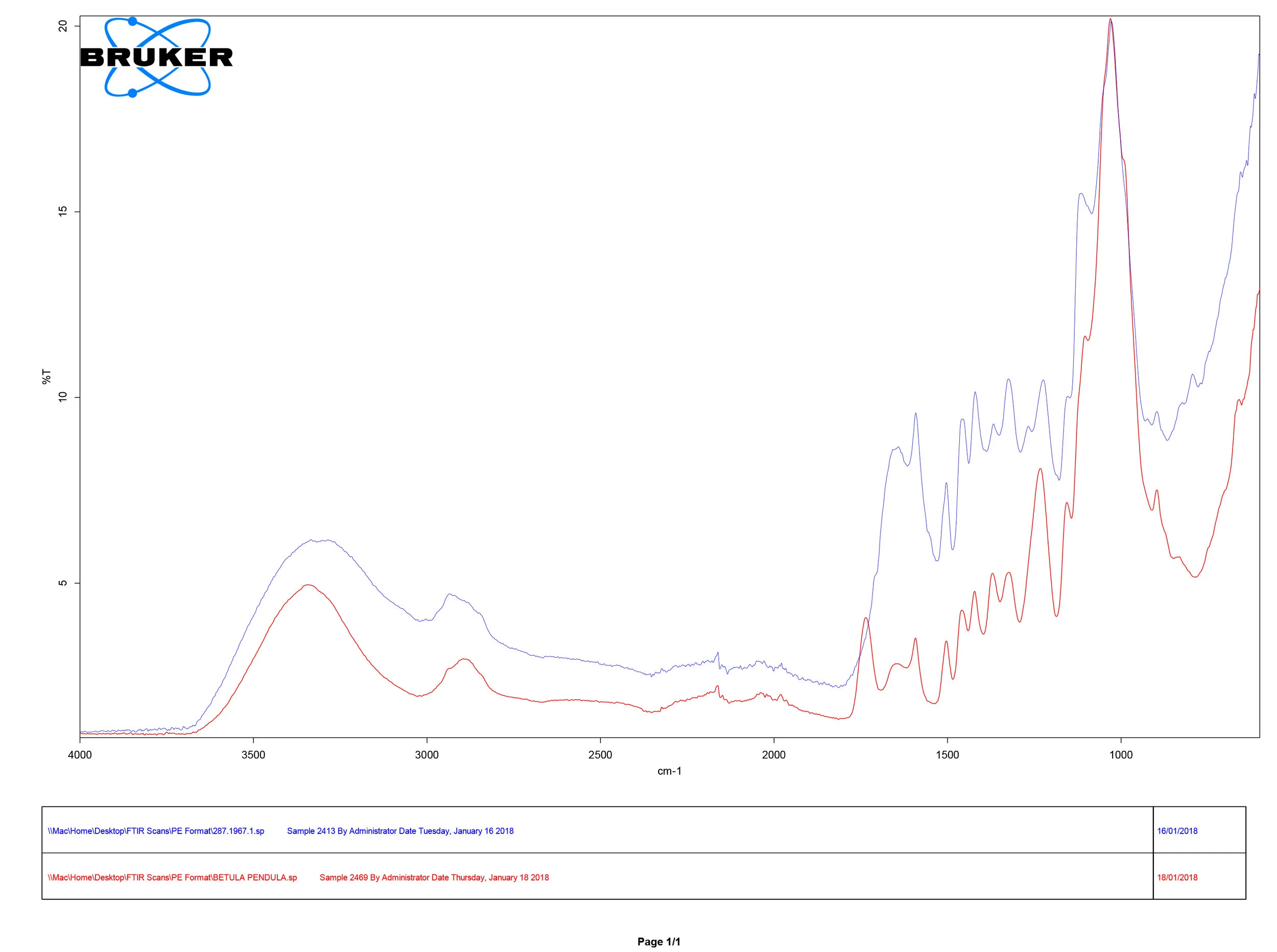 FTIR spectral analysis showing comparison of sample collected from spade 284.1967 (blue), and reference sample for Birch ( Betula pendula ) (red)
