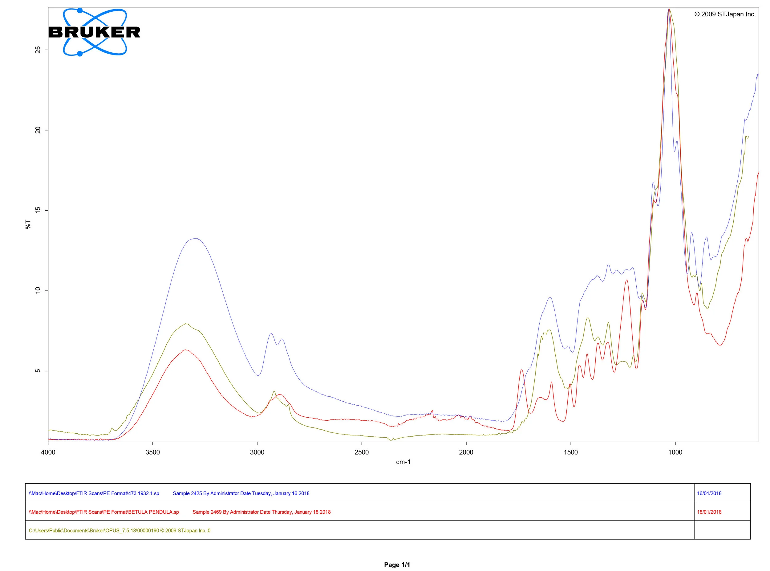 FTIR spectral analysis showing comparison of sample collected from trough 473.1932 (blue), a reference sample for Birch ( Betula pendula ) (red), and a reference sample for Papyrus (green).