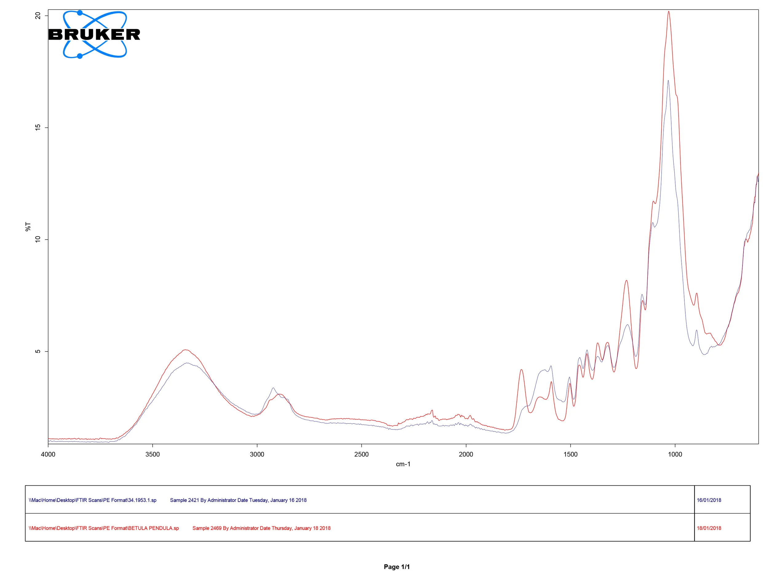 FTIR spectral analysis showing comparison of sample collected from spade 284.1967 (blue), a reference sample for Birch ( Betula pendula ) (red)