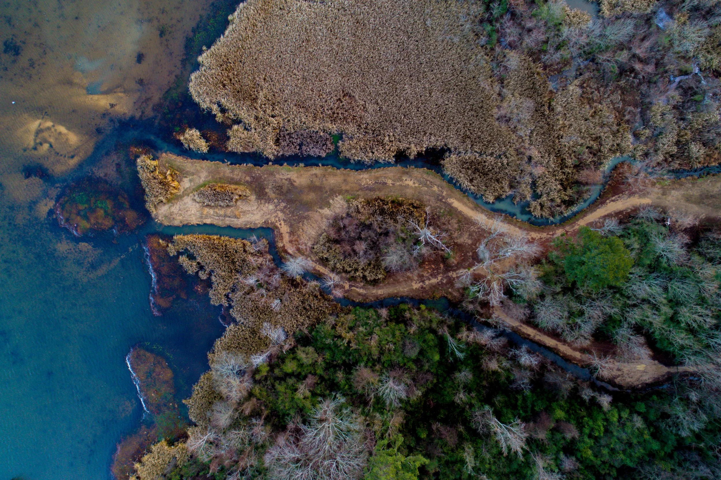 Photo by Nathan Anderson on Unsplash