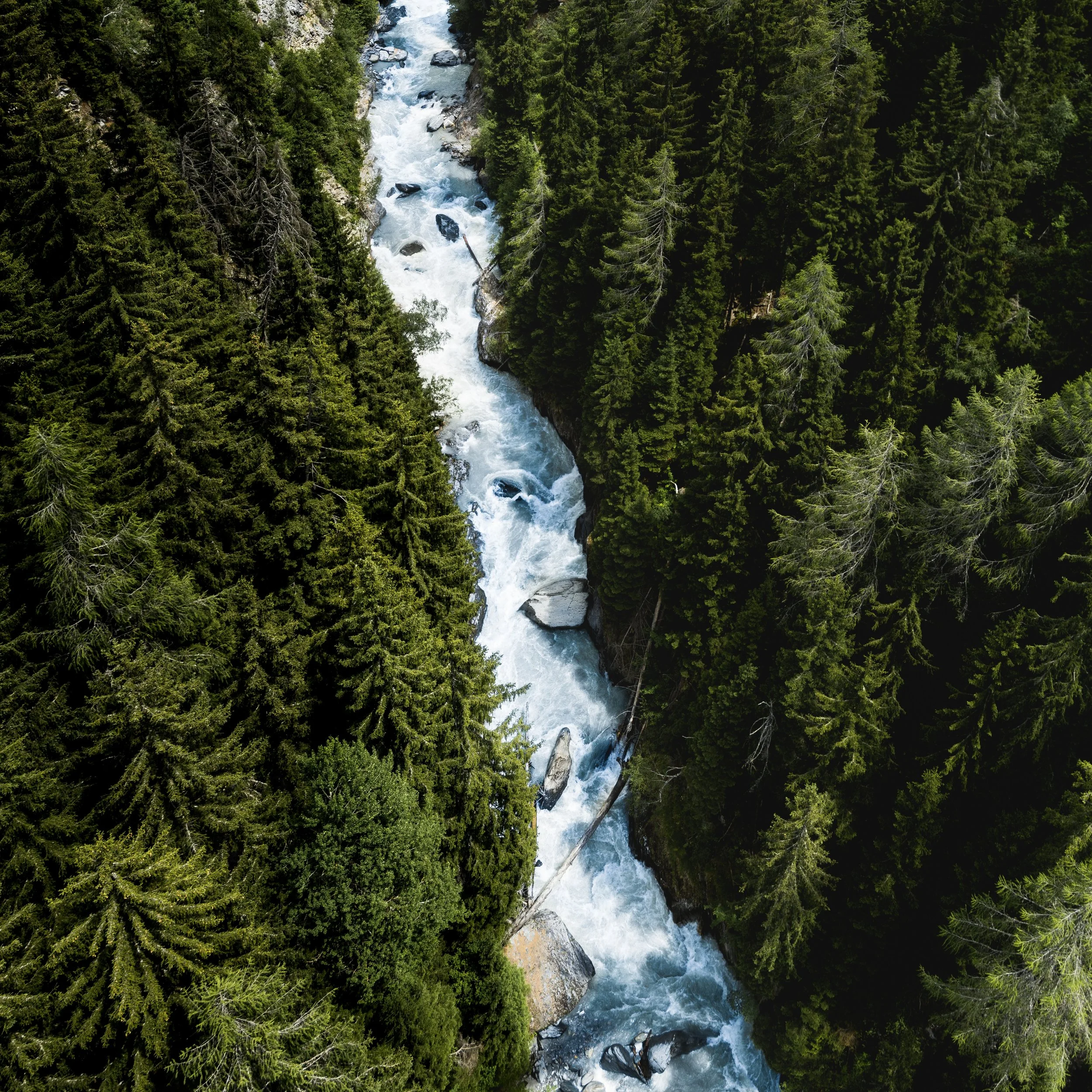 Photo by Bruno Perrin on Unsplash
