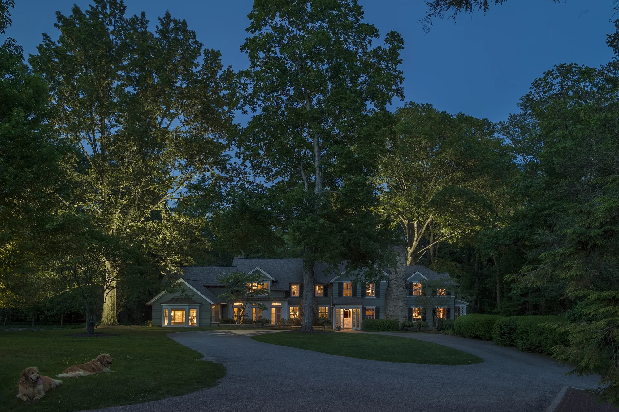 2-170612-118fret copy-1.jpg