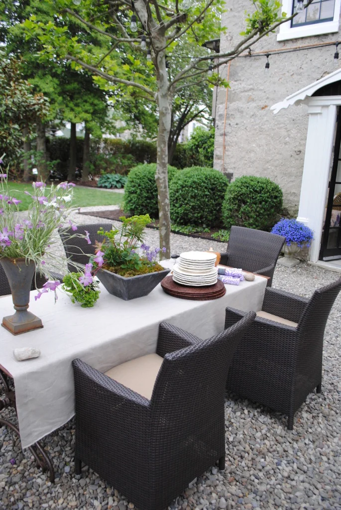 Active backyard and garden