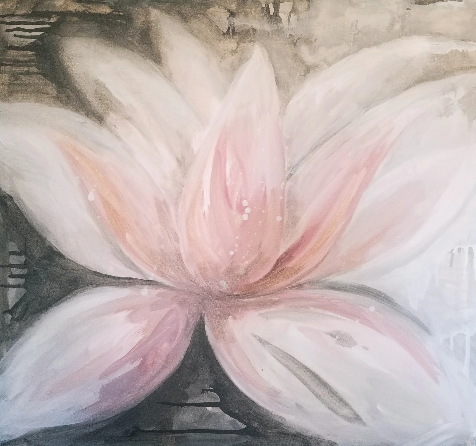 Lotus.jpg