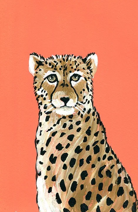 Cheetah in Papaya