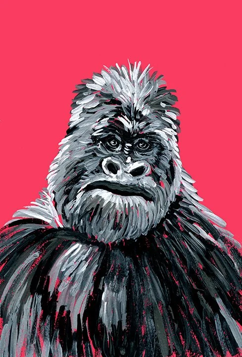 Silverback in Hibiscus