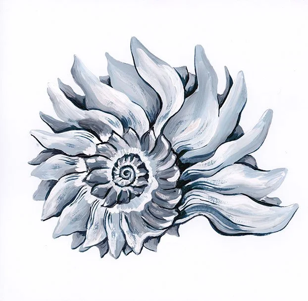 YS_Coastal_ImperialShell Navy.jpg