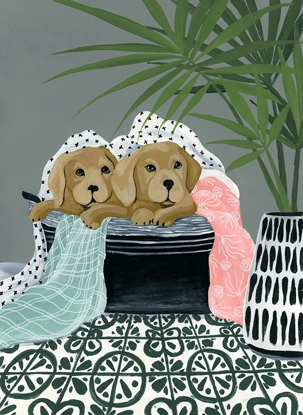 YS_Pups in Laundry.jpg