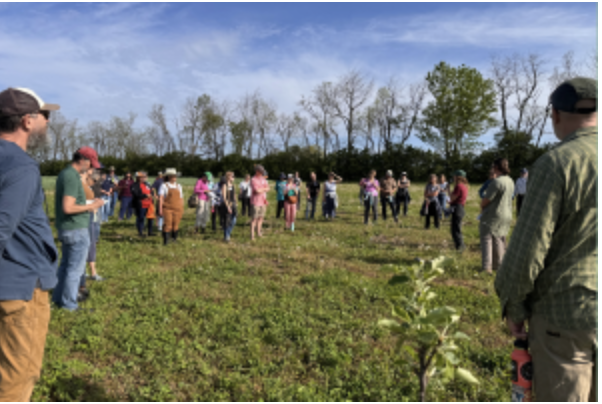 Organic Association of Kentucky Field Day