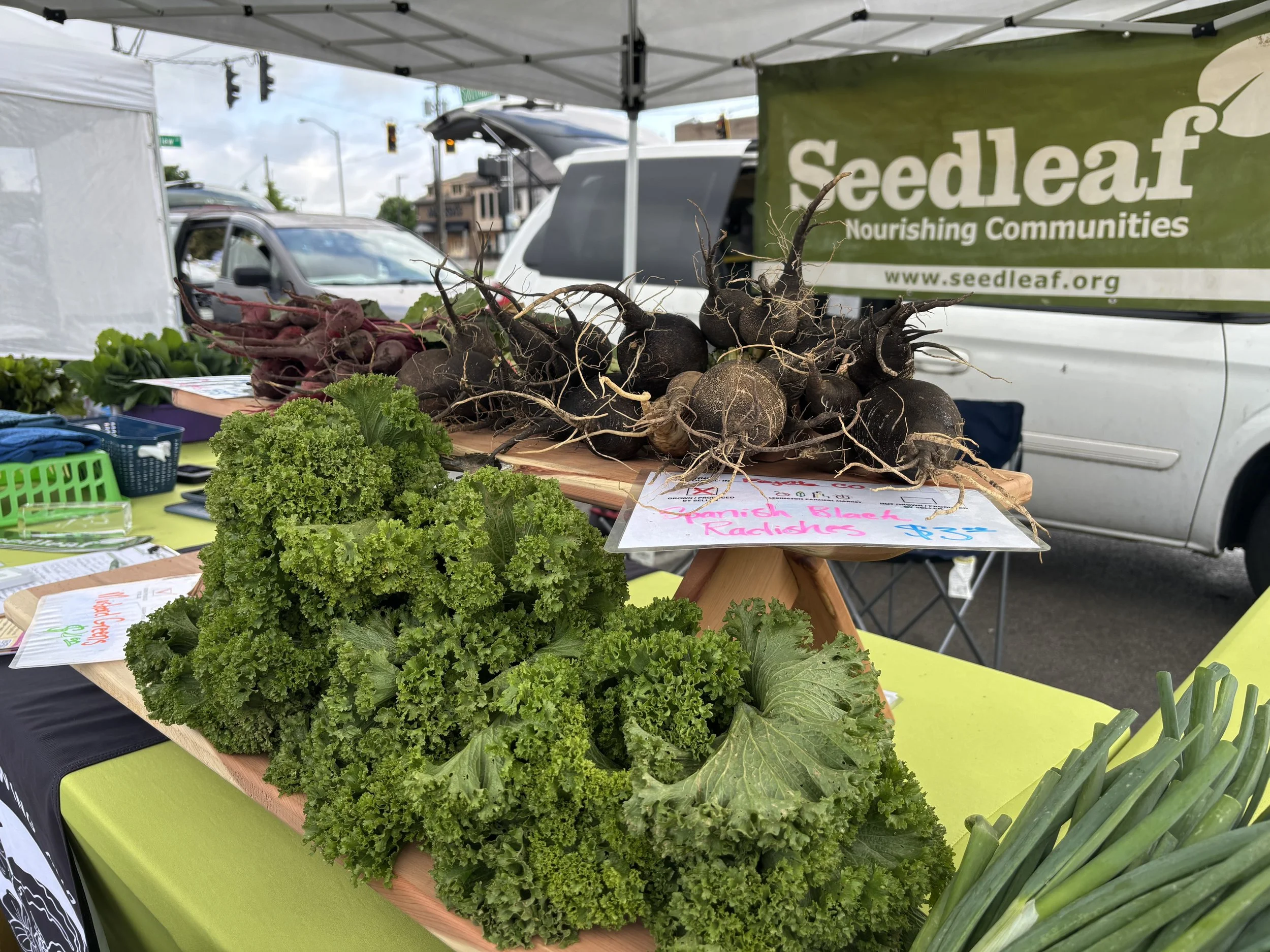 Lexington Farmers Market: Support Seedleaf & Market Gardener Program
