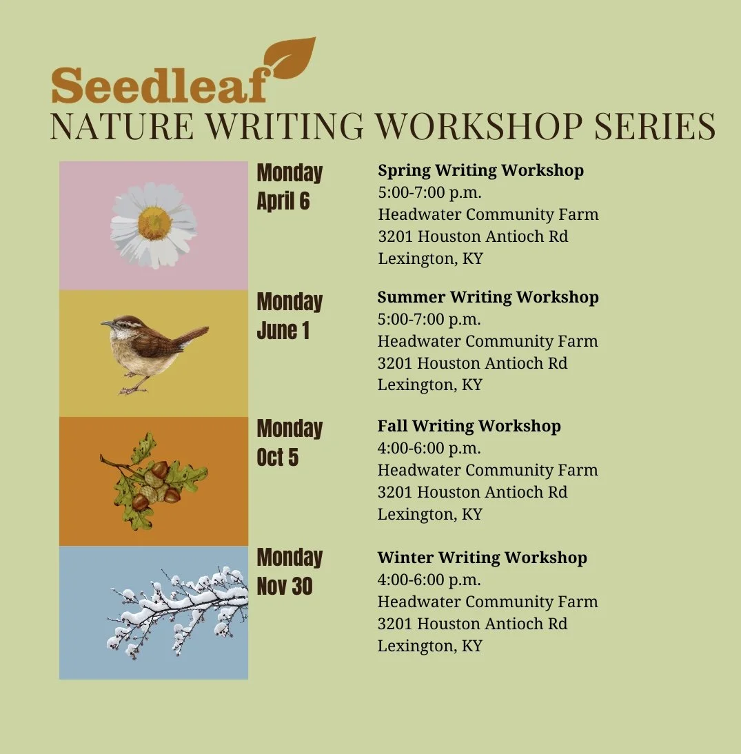 Nature Writing Series: Winter