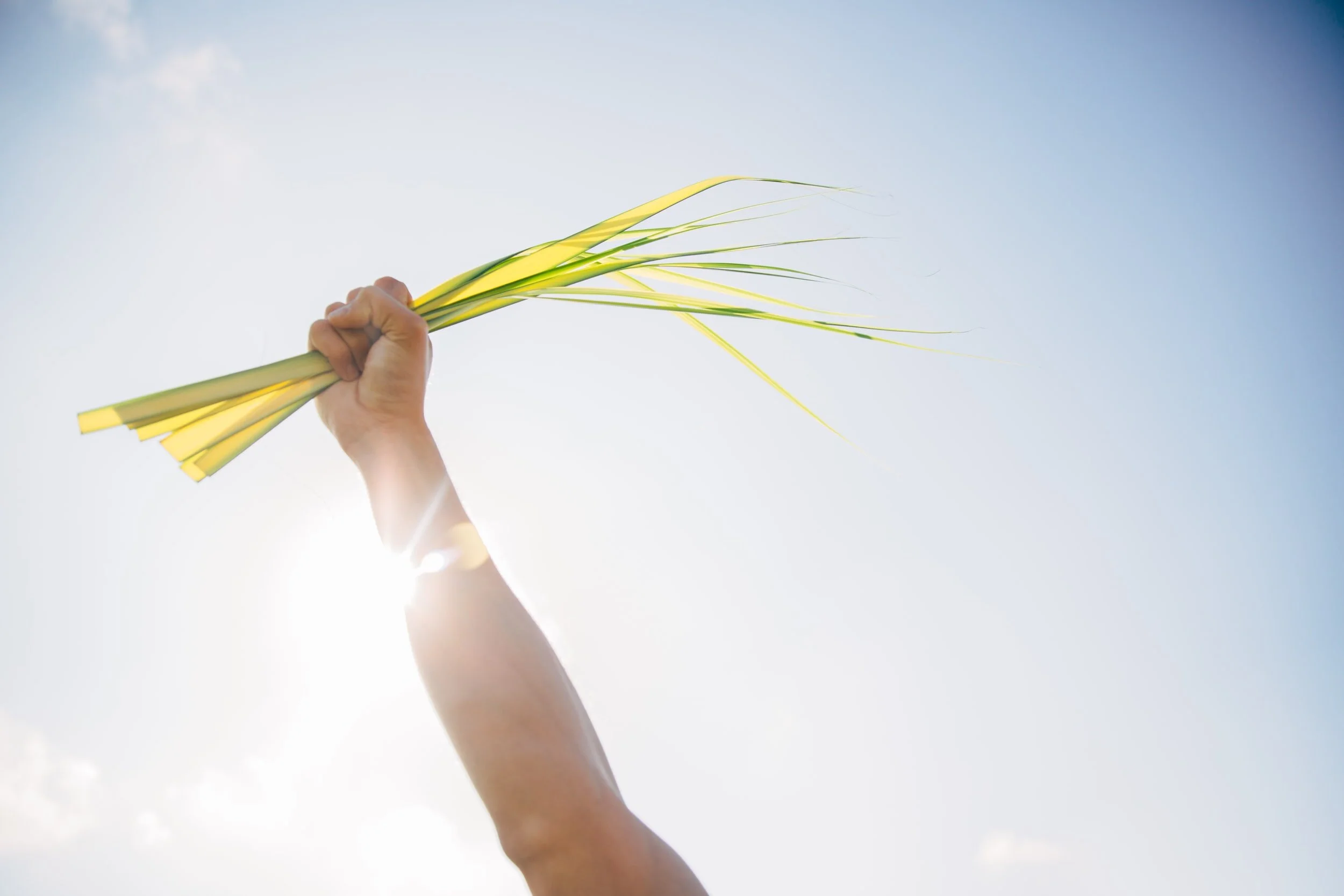 Palm Sunday