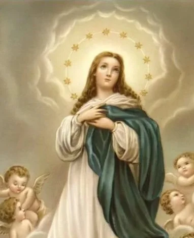 SOLEMNITY OF THE ASSUMPTION OF THE BLESSED VIRGIN MARY
