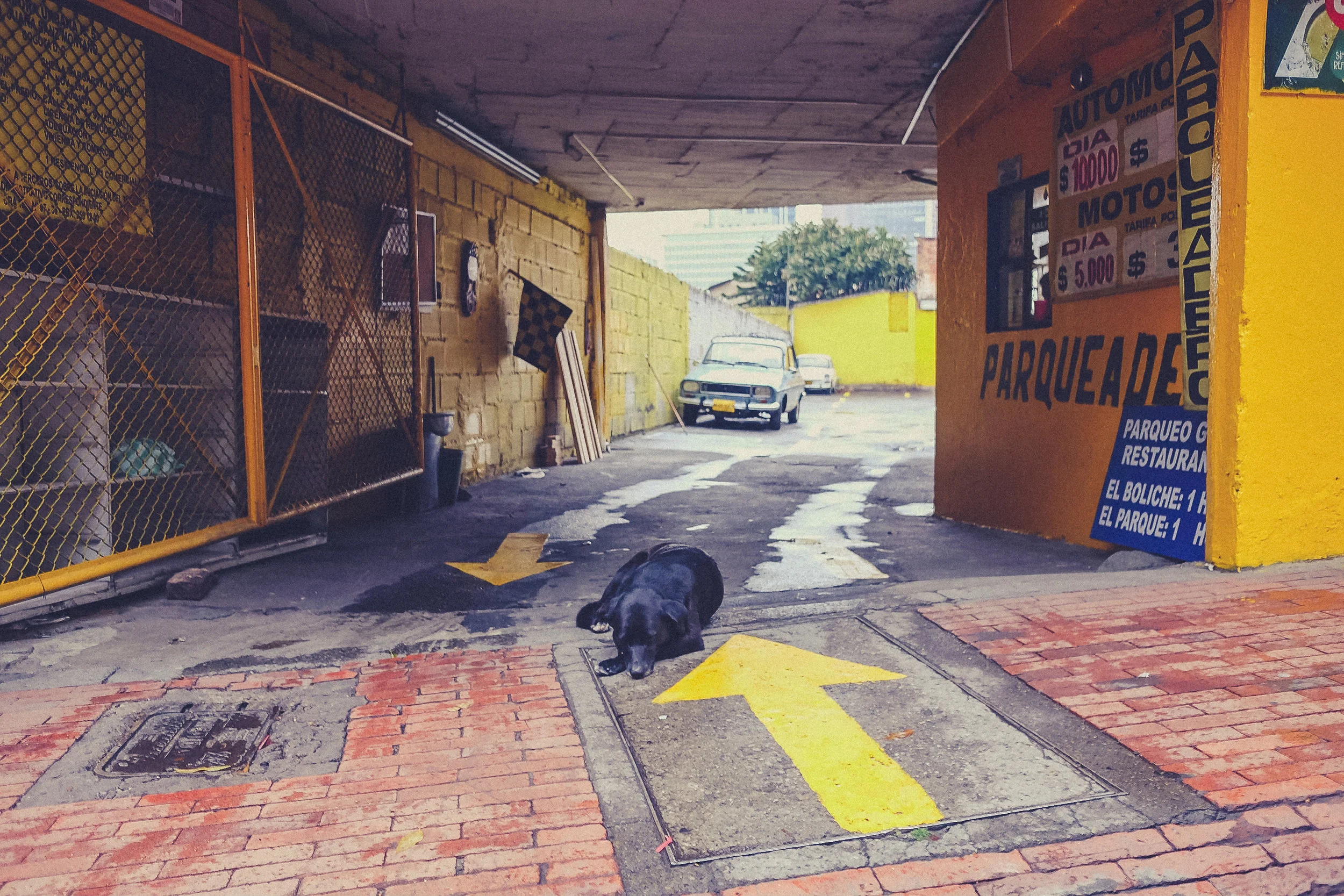 Colombia_TEST_gallery-25.jpg