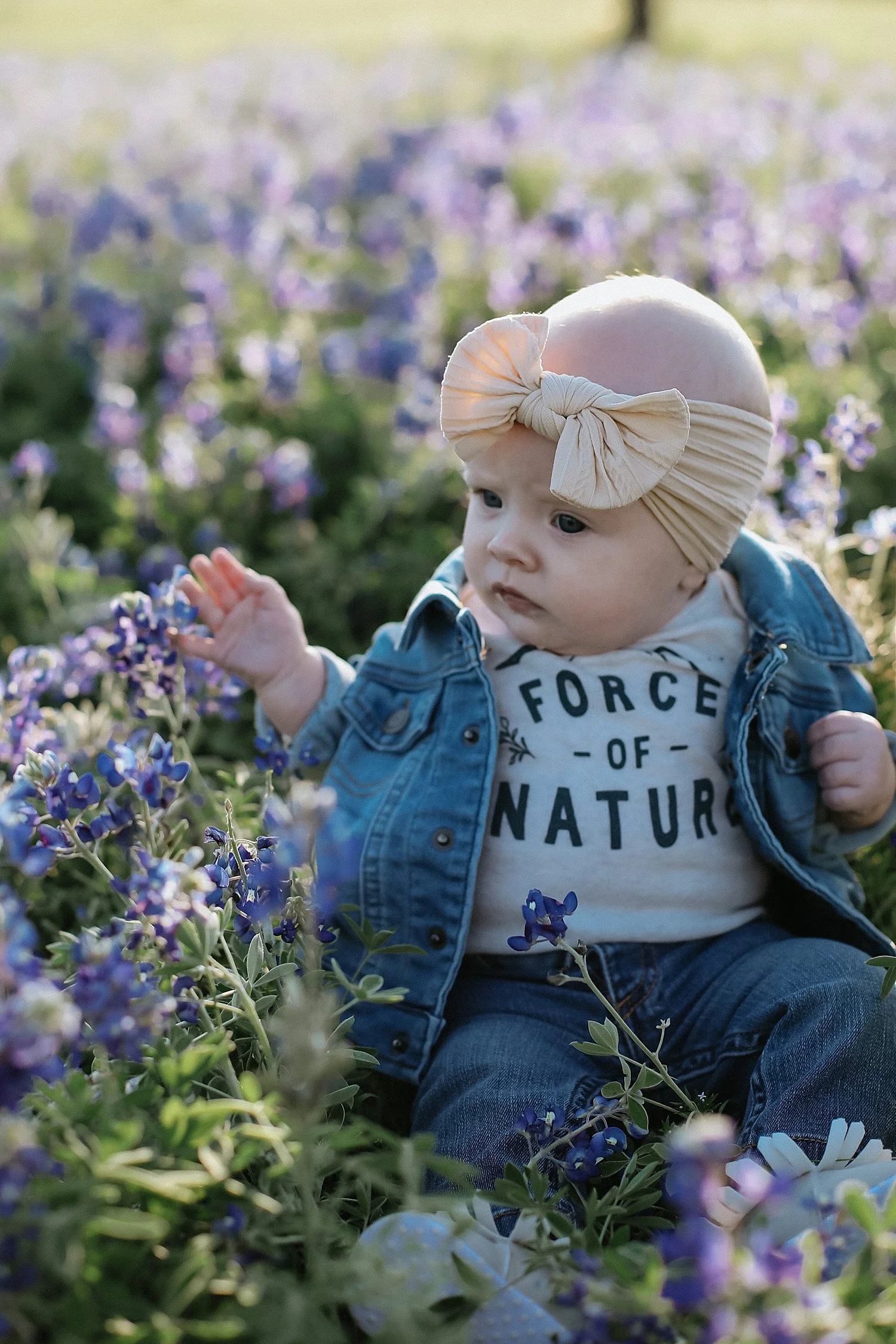  six month old sitting in field of flowers by Austin family photographer 