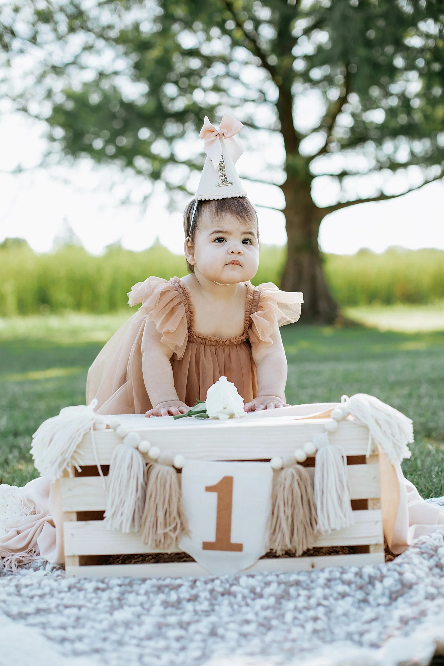  baby in tulle dress and birthday hat stands next to crate for sunrise milestone session 