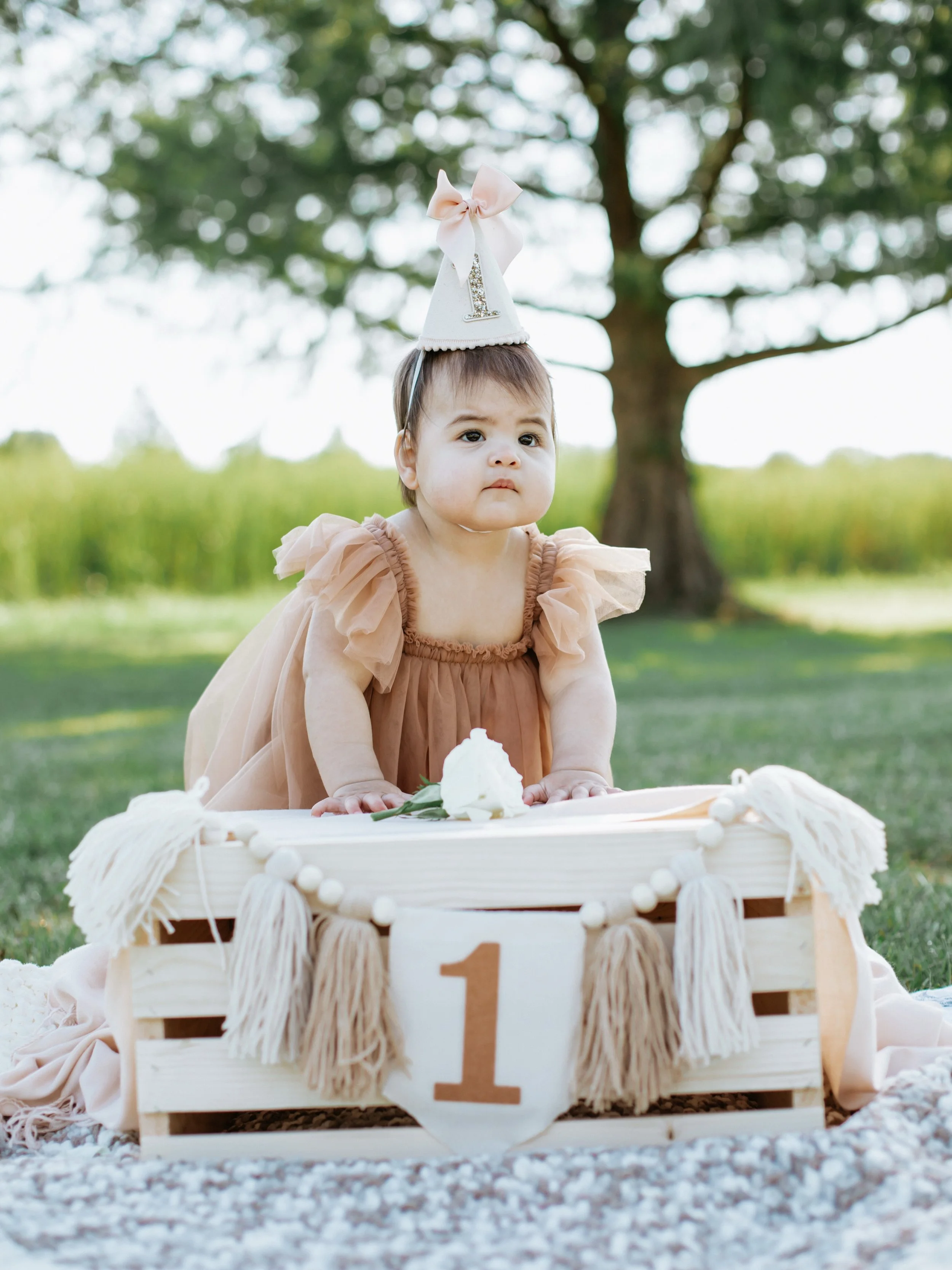 Happy birthday to this cutie!!!! I&rsquo;ve gotten to photograph their family since before mom &amp; dad were engaged&hellip; and now their little one is celebrating her 1st bday 🎉🥳 I can&rsquo;t tell you how much I love documenting families throug