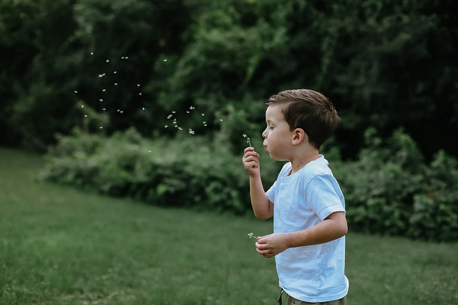  little boy blows dandelion flower showing what to bring to your mini session 