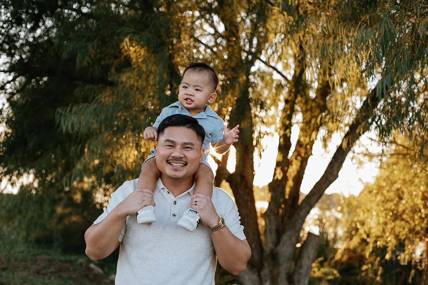 dad holds toddler on his shoulders in front of tree by Jessie Shaw Photo 