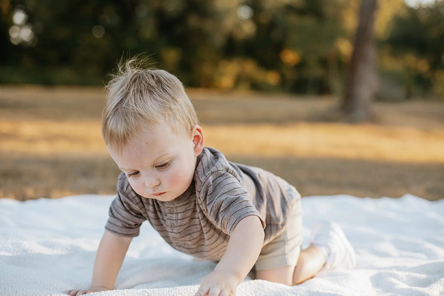  toddler crawls on white blanket at Old Settlers Park 