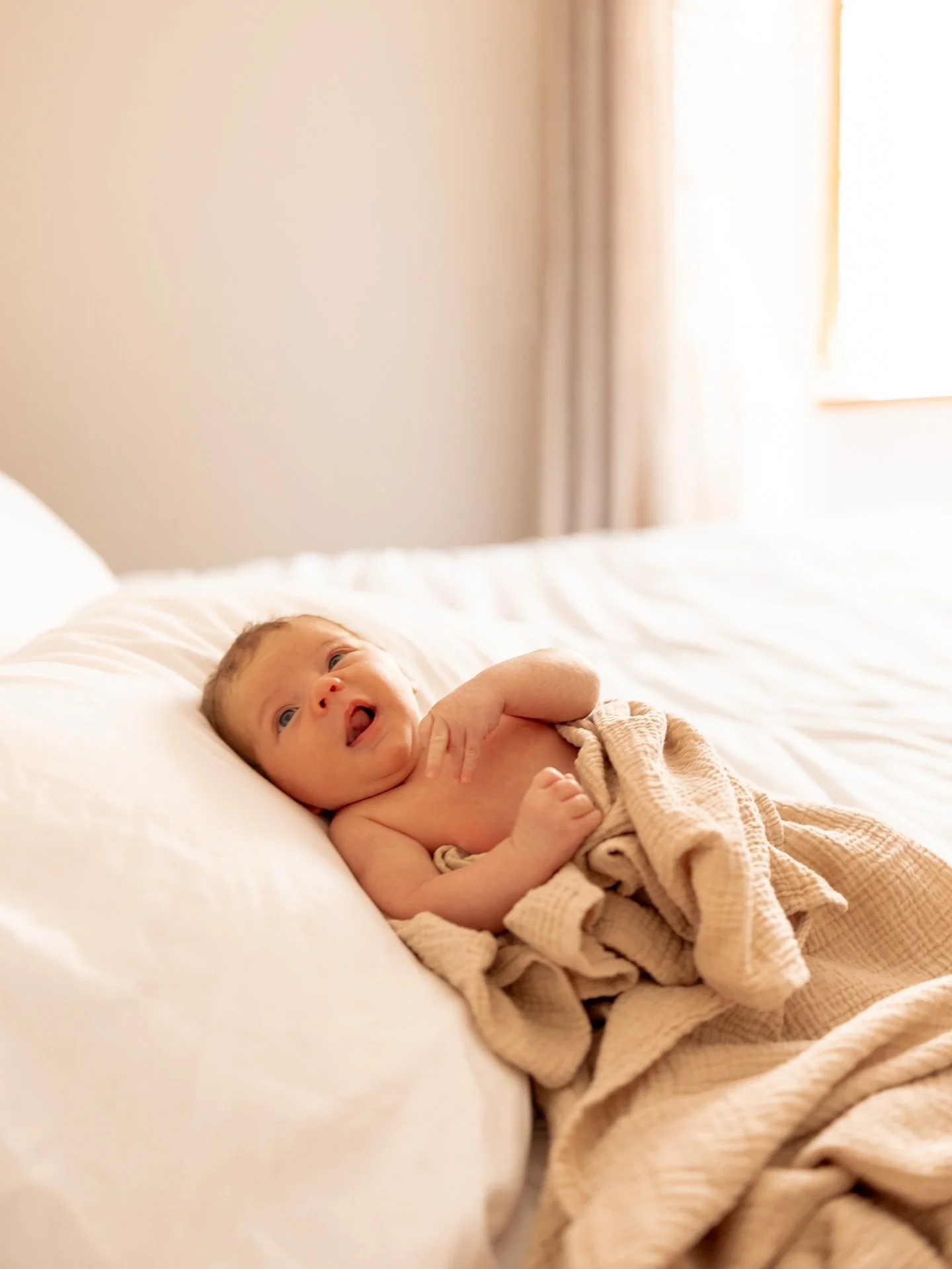 Wow too many cute ones to pick from this newbie session. I love these sessions. We take it nice and slow. Lots of breaks to nurse + change baby. We let toddlers + kiddos warm up and be themselves. We reminisce about birth + laugh at the wild parts th