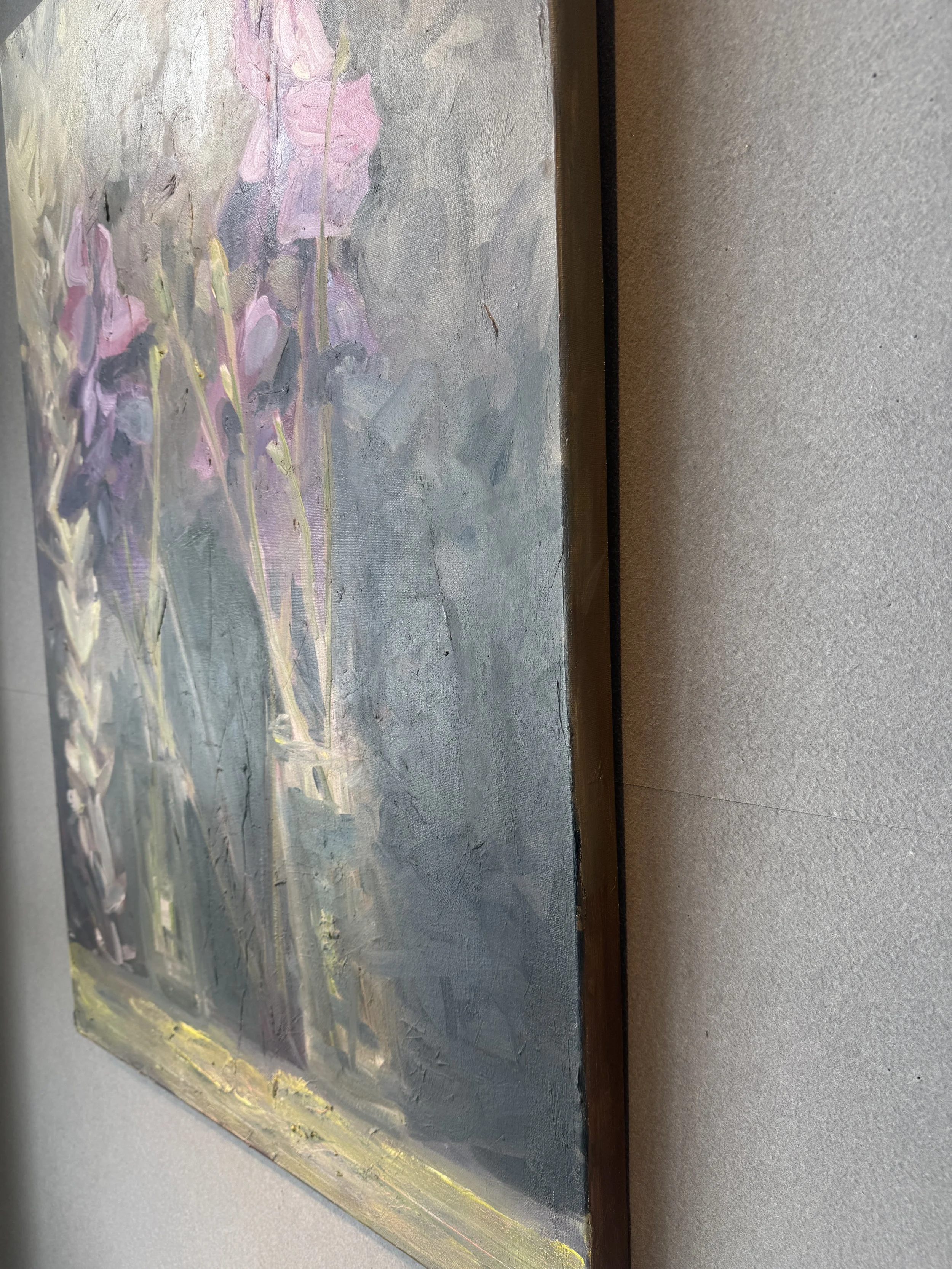 Irises side angle.JPG