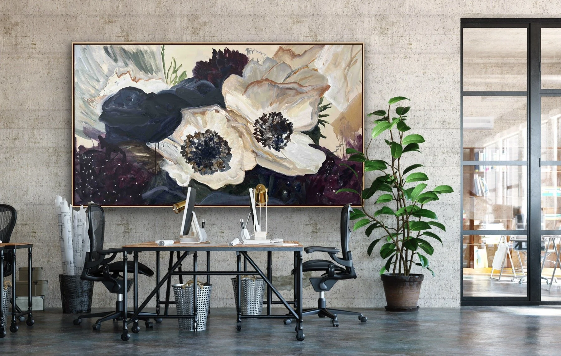 princess anemones in situ2.JPG