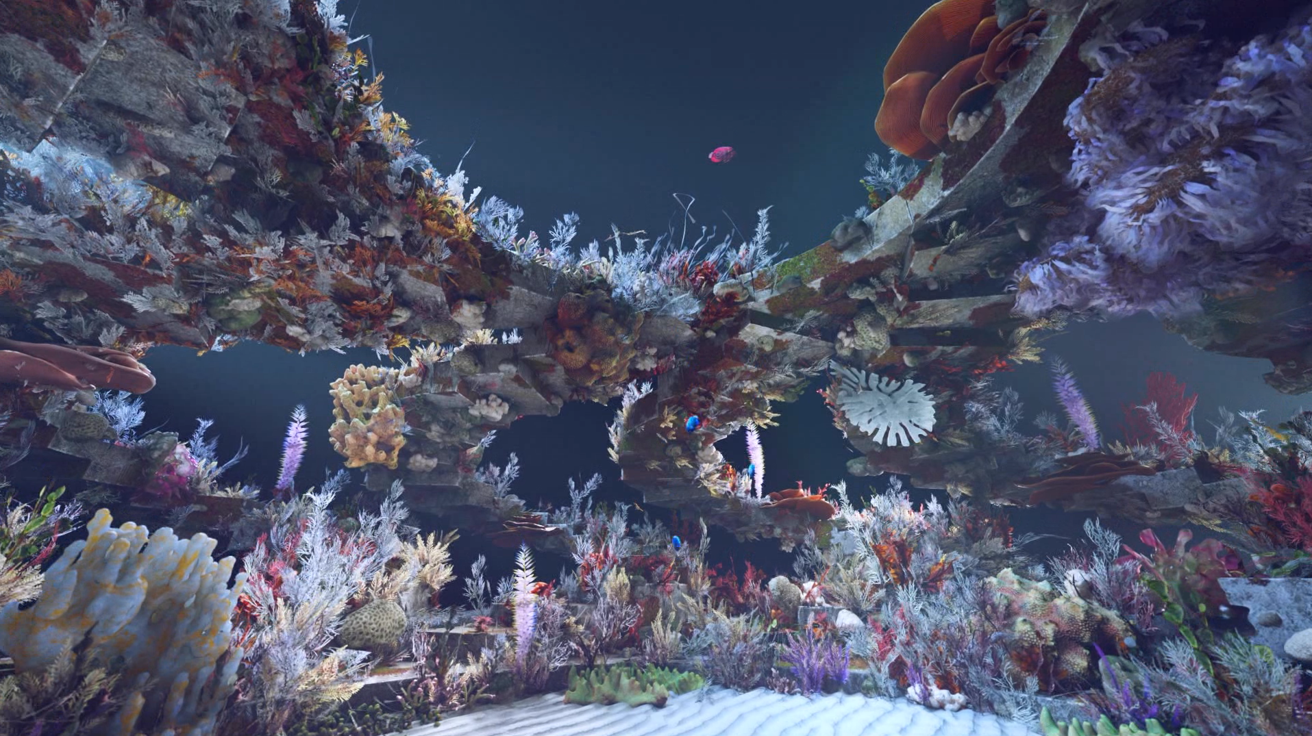 The Reef Line Project