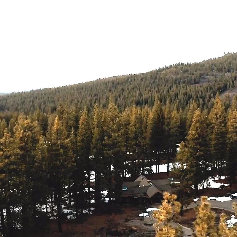 Building The New Campus