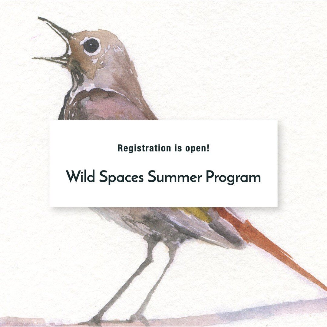 Ages: 4-12 #wildspaces youth Summer Program
Registration is open and filling up quick! (Link in Bio)

Become immersed in nature this summer at the Wild Spaces of the Sierra. Your child will thrive through experiences that develop creativity, social c