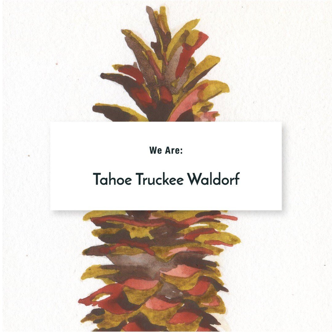 With humble beginnings in 2014, Tahoe Truckee Waldorf is a 501(c)(3) Nonprofit dedicated towards supporting and nurturing Waldorf education in the Tahoe/Truckee area. Since inception we have spent every year making our community visions come to fruit
