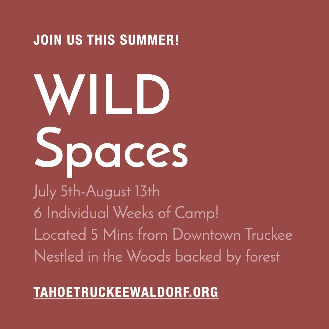 We are getting new sign ups everyday! Don't miss the chance to be a part of our Wild Spaces Summer Camp! 
*Link in Bio*
Spend your Summer developing a sense of outdoor wonder and skill at Wild Spaces Youth Summer Program, located in the beautiful Sie