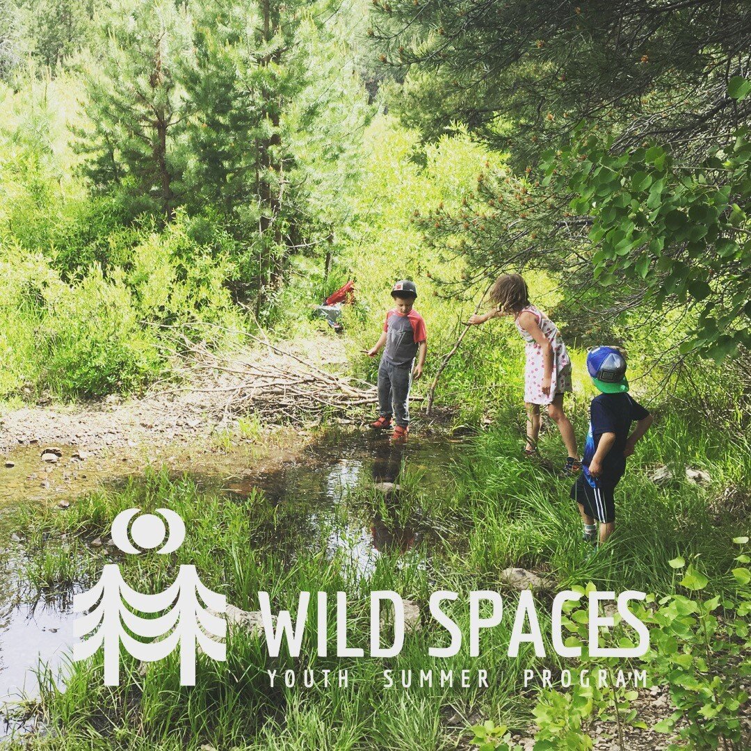Summer is just around the corner! 
Spend your Summer developing a sense of outdoor wonder and skill at Wild Spaces Youth Summer Program, located in the beautiful Sierra Nevada wilderness just minutes from downtown Truckee, California. 
Ages 4-12. 
Si