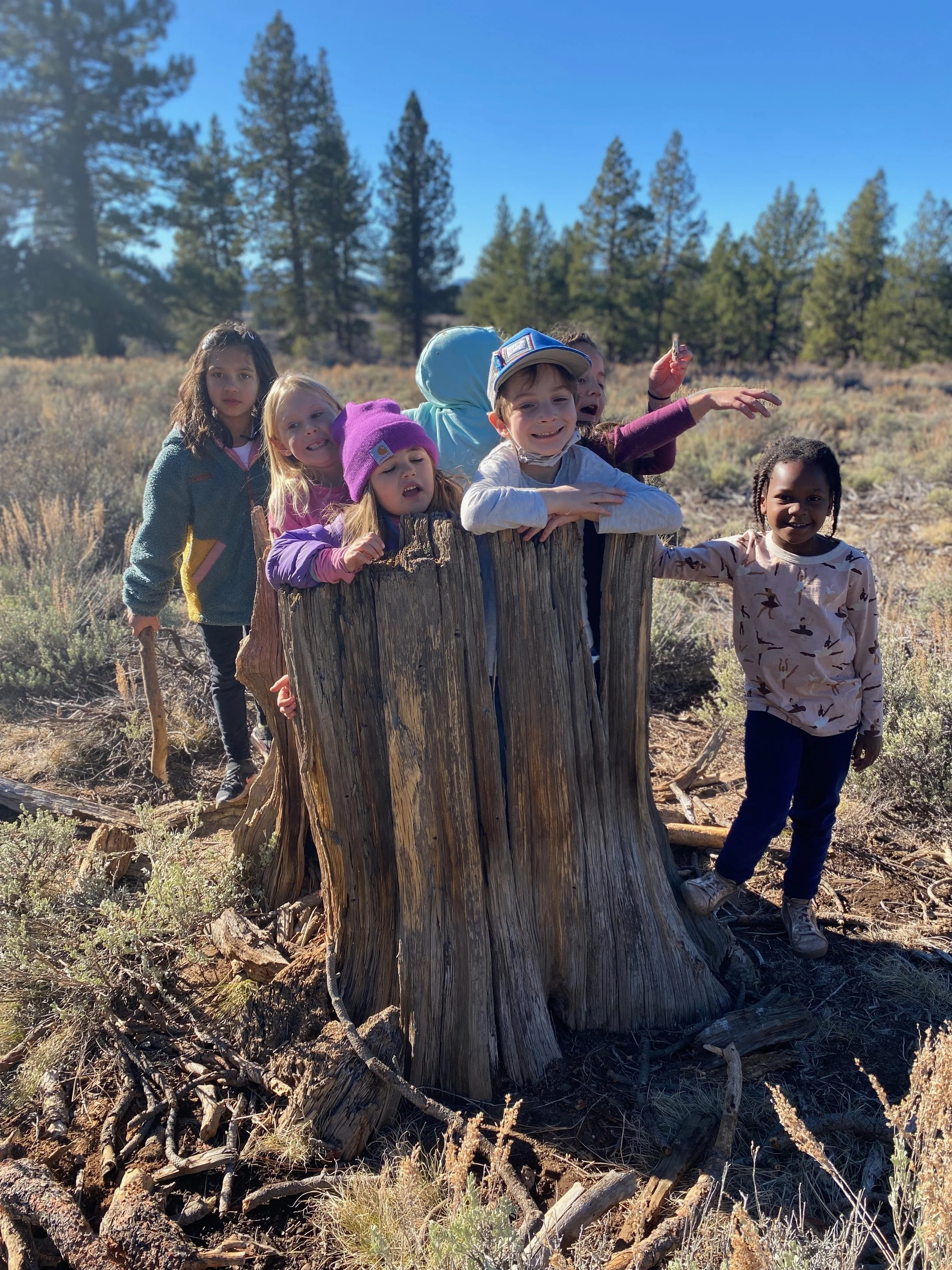 The Beauty of Waldorf Education