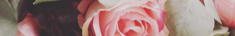 Rachel Farrington-Allen - Director - 07495 055048 - rachel@festivaleventsandplanning.com Lara Oakes - Director - 07971669798 - lara@festivaleventsandplanning.com Bespoke, creative solutions for your dream wedding. 